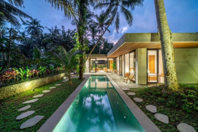PROMO - Brand NEW Villa - 3BDR - Huge Pool - Ubud